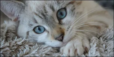 Et combien de grammes ?