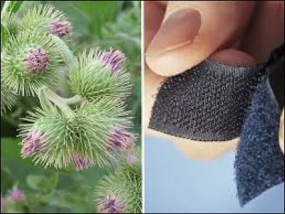 Qui a inventé la fermeture Velcro ?