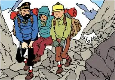 "Tintin au Tibet" est le vingtième album de bande dessinée des Aventures de Tintin, écrit par Peyo.