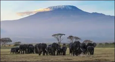 Le Kilimandjaro est une montagne située en Asie.