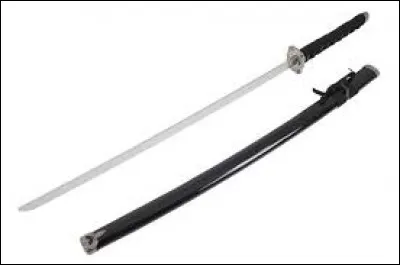 Sur l'image, vous pouvez voir un katana, un sabre de plus de 60 cm.