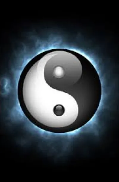 Le yin et le yang représente les deux principes fondamentaux de la philosophie japonaise.