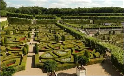 Oh, regardez-moi ce magnifique jardin oriental !