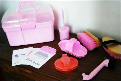 Quel est l'ordre des brosses &agrave; passer sur un cheval ?