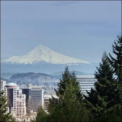 "American Beauty" est un long-métrage interprété par Kevin Spacey.