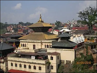 Dans quel pays se trouve le temple de Pashupatinath, temple dédié à Pashupati, l'incarnation de Shiva en tant que « maître des animaux » ?