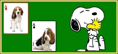 À quelle race de chien appartient Snoopy ?