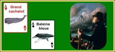 À quelle espèce de cétacés Moby Dick appartient-il ?