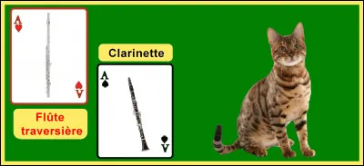 Quel type d'instruments Prokofiev utilise-t-il dans "Pierre et le loup" pour représenter le chat ?