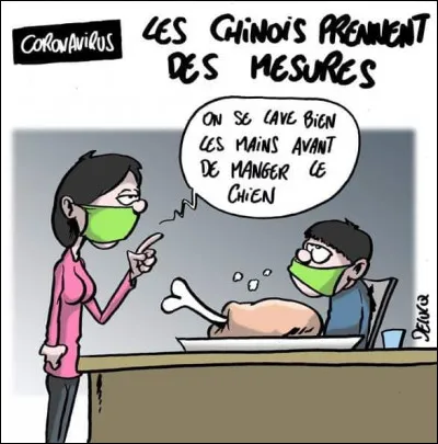 Un Chinois mange un chien nommé Wa Wa ! On se rend compte de la race du chien après digestion :