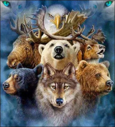 Quel animal totem est fait pour toi ?