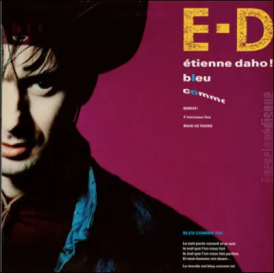 Quelle est cette chanson d'Étienne Daho ?
