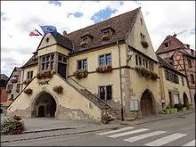 Petit tour dans le Grand-Est, à Hattstatt. Commune du parc naturel régional des Ballons des Vosges, elle se situe dans le département ...