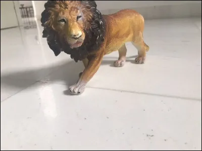 Cet animal est-il de sexe masculin ou féminin ?