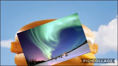 Quel est le nom de cet hamburger présent dans les menus du McDonald's ?