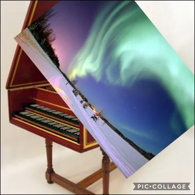 Comment s'appelle cet instrument de la famille des instruments à cordes ?