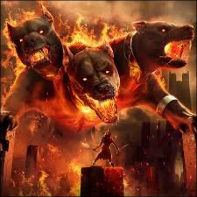 Il a adopté Cerbère.