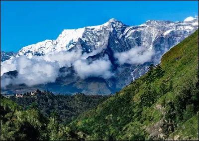 Aussi hauts soient-ils, les géants himalayens sont régulièrement survolés par une espèce d'oiseau ayant la capacité unique de voler à près de 9000 mètres d'altitude. Une troupe a même une fois été observée au-dessus du mont Everest, roi des montagnes. Quel est cet oiseau si résistant aux conditions difficiles des hauteurs ?