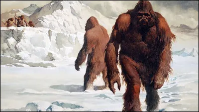 Abominable créature des montagnes surgissant au coeur des plus violentes tempêtes de neige, le yéti alimente encore aujourd'hui de nombreuses légendes et terrifie les petits enfants. Récemment, après analyse de certains fragments d'os supposés appartenir au yéti et exposés dans divers musées himalayens, une équipe d'expert est parvenu à une conclusion pour le moins surprenante ! Laquelle ?