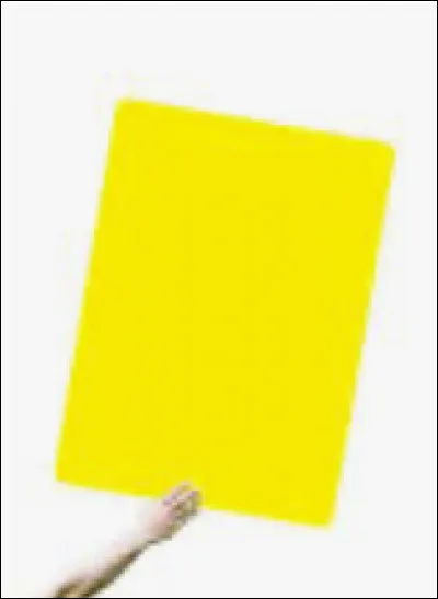 Combien a-t-il re&ccedil;u de carton(s) jaune(s) au cours de sa carri&egrave;re ?