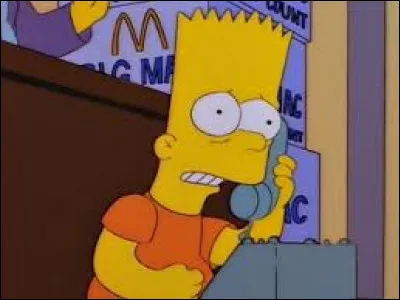 Dans "Faux permis, vrais ennuis", où vont Bart et ses amis ?