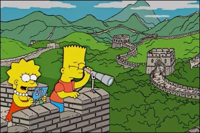 Dans quel pays se trouvent les enfants Simpson ?