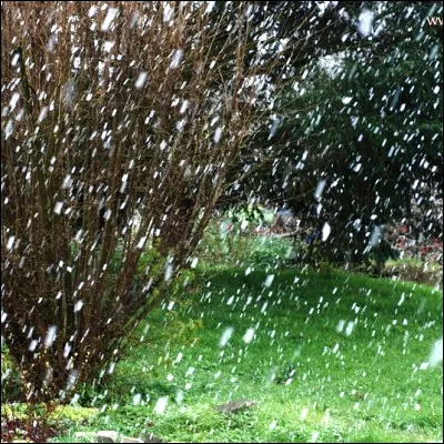 Quel nom donne-t-on &agrave; une pluie soudaine, de courte dur&eacute;e, quelquefois m&ecirc;l&eacute;e de gr&ecirc;le ou de neige, typique du printemps ?