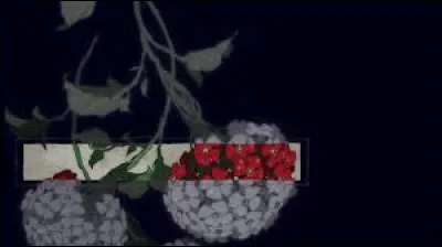 [Tome 6] - Quelle est la particularité de ce dernier ?