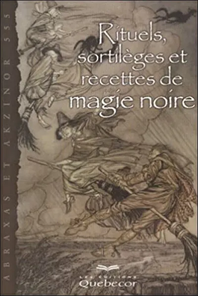 Qui chante "Ta magie noire" ?