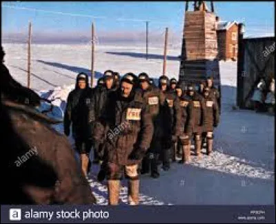 Quel écrivain russe, auteur du roman "Une journée d'Ivan Denissovitch" a été arrêté en 1945 pour avoir critiqué Staline dans un échange de lettres privées, et fut condamné pour activité contre-révolutionnaire à huit ans de détention au goulag ?