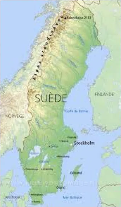 Les deux couleurs du drapeau suédois sont le jaune et le vert.