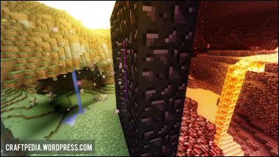 Quelle créature se trouve dans les 3 dimensions de Minecraft ?
