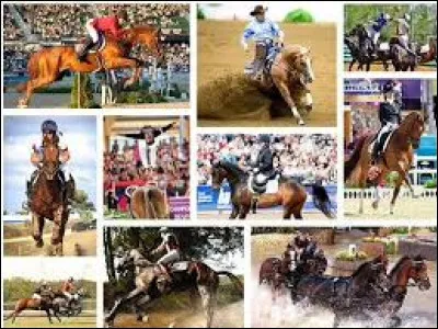 Quelle est ta discipline favorite ? 3/3