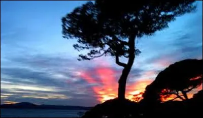 Quel paysage préfères-tu ?