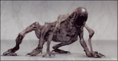 Est-ce que cette créature a pu exister ?