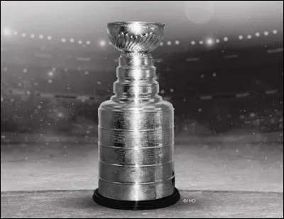 Qui a remporté la Coupe Stanley pendant la saison 2018-2019 ?