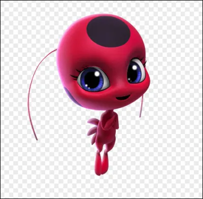 Comment s'appelle le Kwami de Ladybug ?