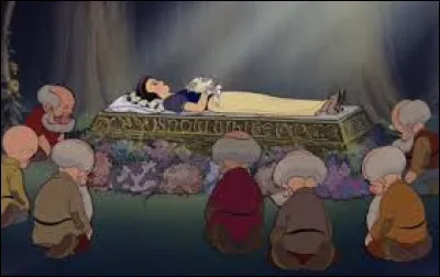 À qui appartenait le carnet qui a aidé Conner et Alex dans leurs péripéties ?