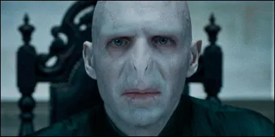 Pour toi, Voldemort est...