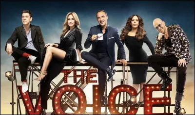 Ici, je ne parle pas du télé-crochet diffusé sur TF1 mais bien d'un artiste. Quel chanteur américain était surnommé "The Voice" ?