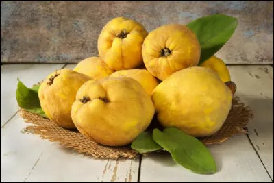 Réfléchir aux précédentes questions vous a peut-être épuisés ; dans ce cas je vous conseille de reprendre des forces en mangeant des fruits. De quel arbre le coing est-il le fruit ?