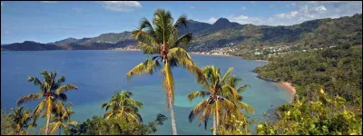 Le pays a pour capitale Moroni, pour langues officielles le comorien, parlé par la majorité de la population, le français et l'arabe. Dans quel océan les îles des Comores se situent-elles ?