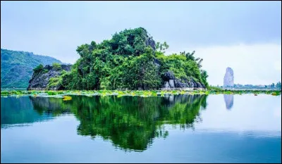 Quan Son est un lac de 850 hectares dont la vue est couverte de végétation riche comme les fleurs, le lotus et ainsi de suite. Dans quel pays peut-on voir ce lac ?