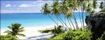 La Barbade est un micro-État insulaire ayant obtenu son indépendance du Royaume-Uni le 30 novembre 1966. Dans quelle mer la Barbade se situe-t-elle ?