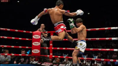 Sur la photo, vous pouvez voir des combattants de la boxe thaïlandaise.