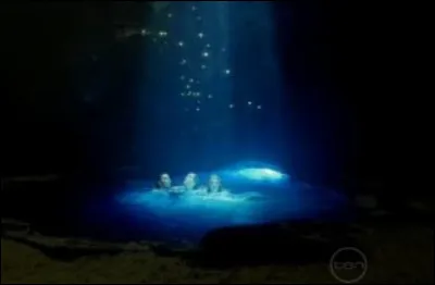 Qui est le principal coupable de leur transformation ?