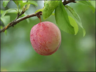 Autopunition, c'est la...