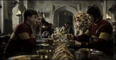 Lors d'un dîner dans la grande salle, que met Harry dans le jus de citrouille de Ron avant son match de quidditch ?