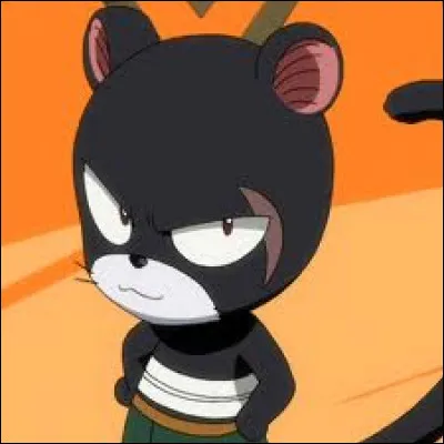 Et ce beau chat noir savez-vous comment il s'appelle ?