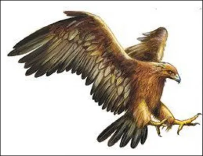Ses attributs sont l'aigle, la foudre, le trône...